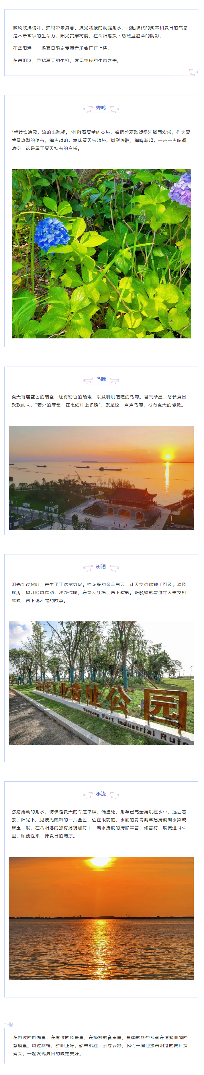 【夏日演奏會】在岳陽港，聆聽夏天的聲音.png
